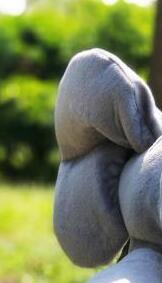 Drop Shipping 30cm Peek a Elephant Stuffed Plush Doll Electric Toy Talking Singing Musical Toy Elephant Play toys for Kids - fyfy7